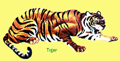 gif/tiger.gif