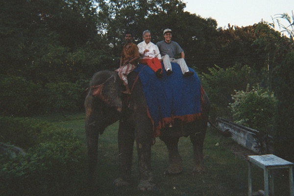 Elephant ride