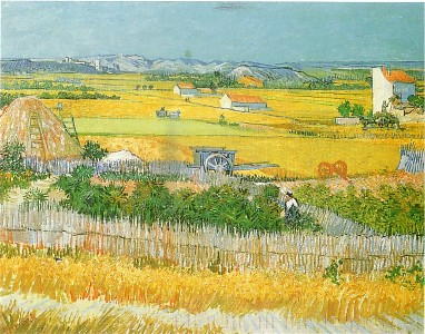 Velden van Maraichers - Van Gogh