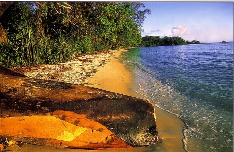 Zanzibar coast