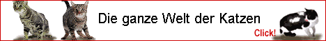 Die ganze Welt der Katzen