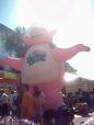 A giant pig baloon from the great Capital BBQ
