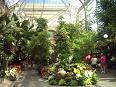 Inside the beautiful national botanical garden