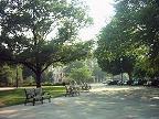 This shot is the area where I live. You can almost see City Hall - it's a brown hi-rise in the background.