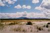 Areia 640 x 427