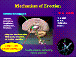 neurologistheadaches botox calgary