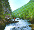 IZVOR SANE
