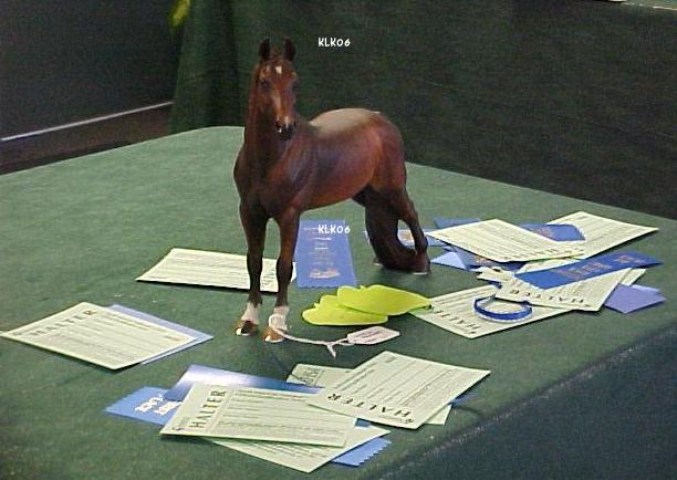  http://www.geocities.com/klkeepsakes/walkinpapers.jpg(46310 bytes)