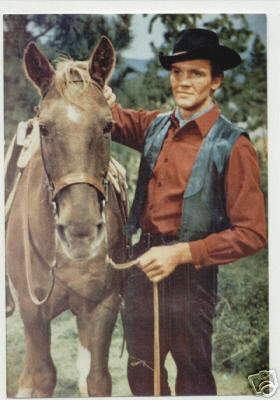 Canary and horse