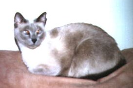 [Photo of Seki]
