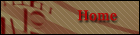 The home page