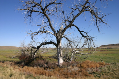 This is one of the very first photos I ever took with my new camera in 2004.&nbsp; It remains one of my favorites.