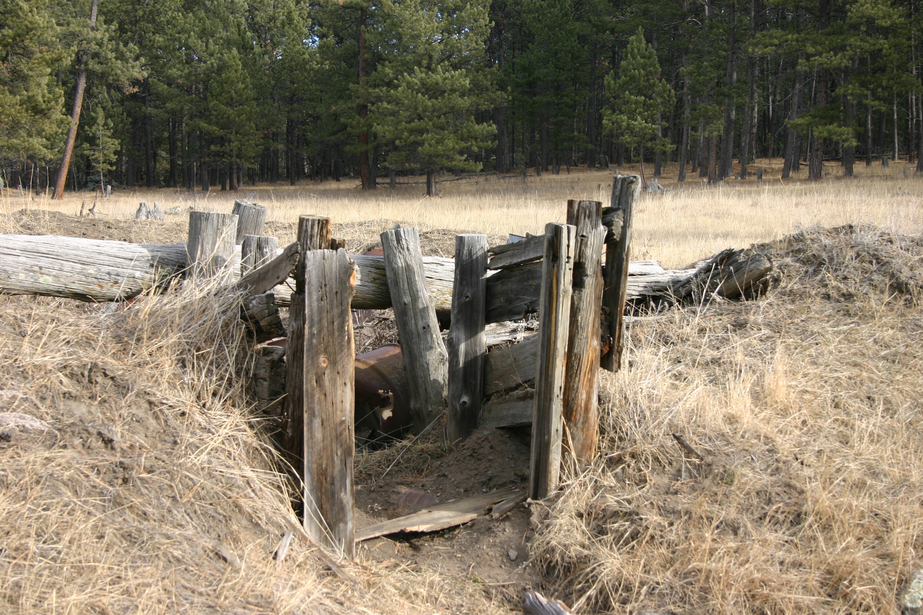 This photo was taken on a photo shoot in the Hot Springs, SD area.