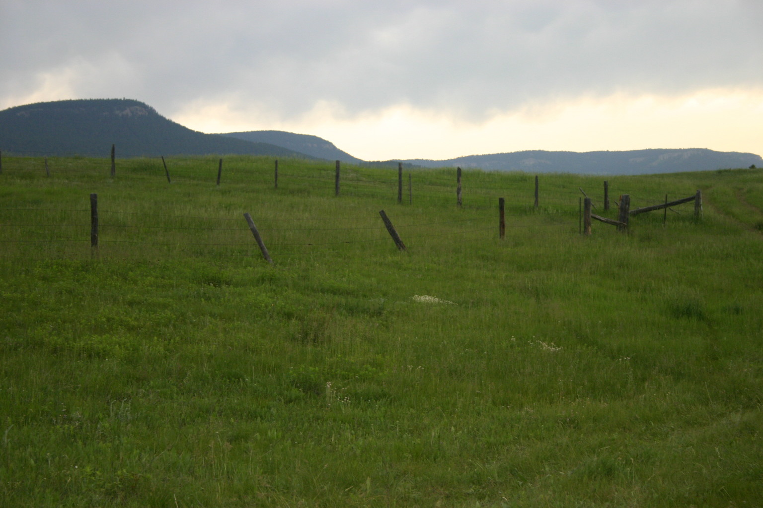 This photo, taken in the southern Black Hills, reminded me of how we put limits on ourselves where none need to be.