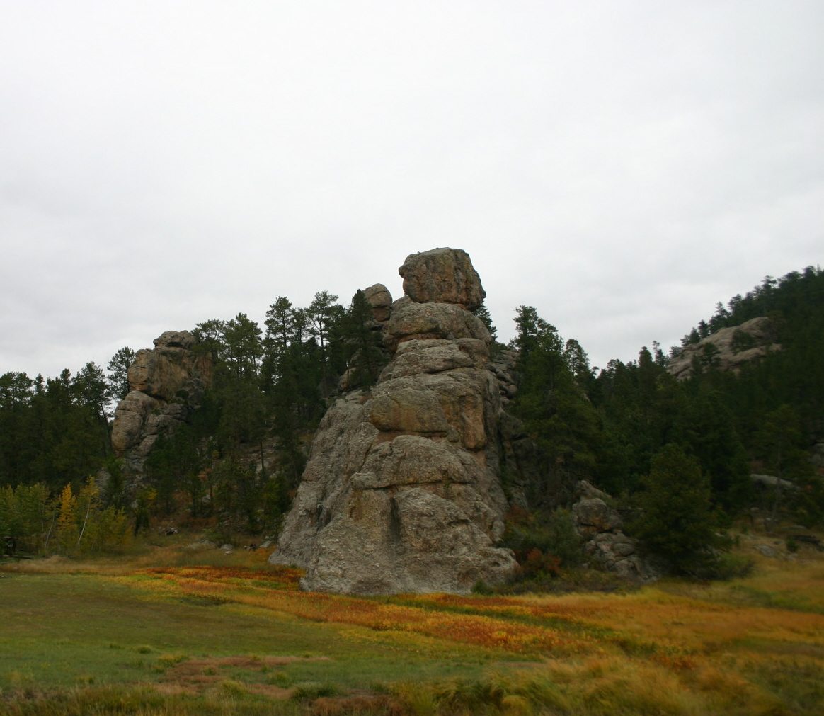 Taken near Custer, SD, this photo popped out of the background due to its rich fall colors.