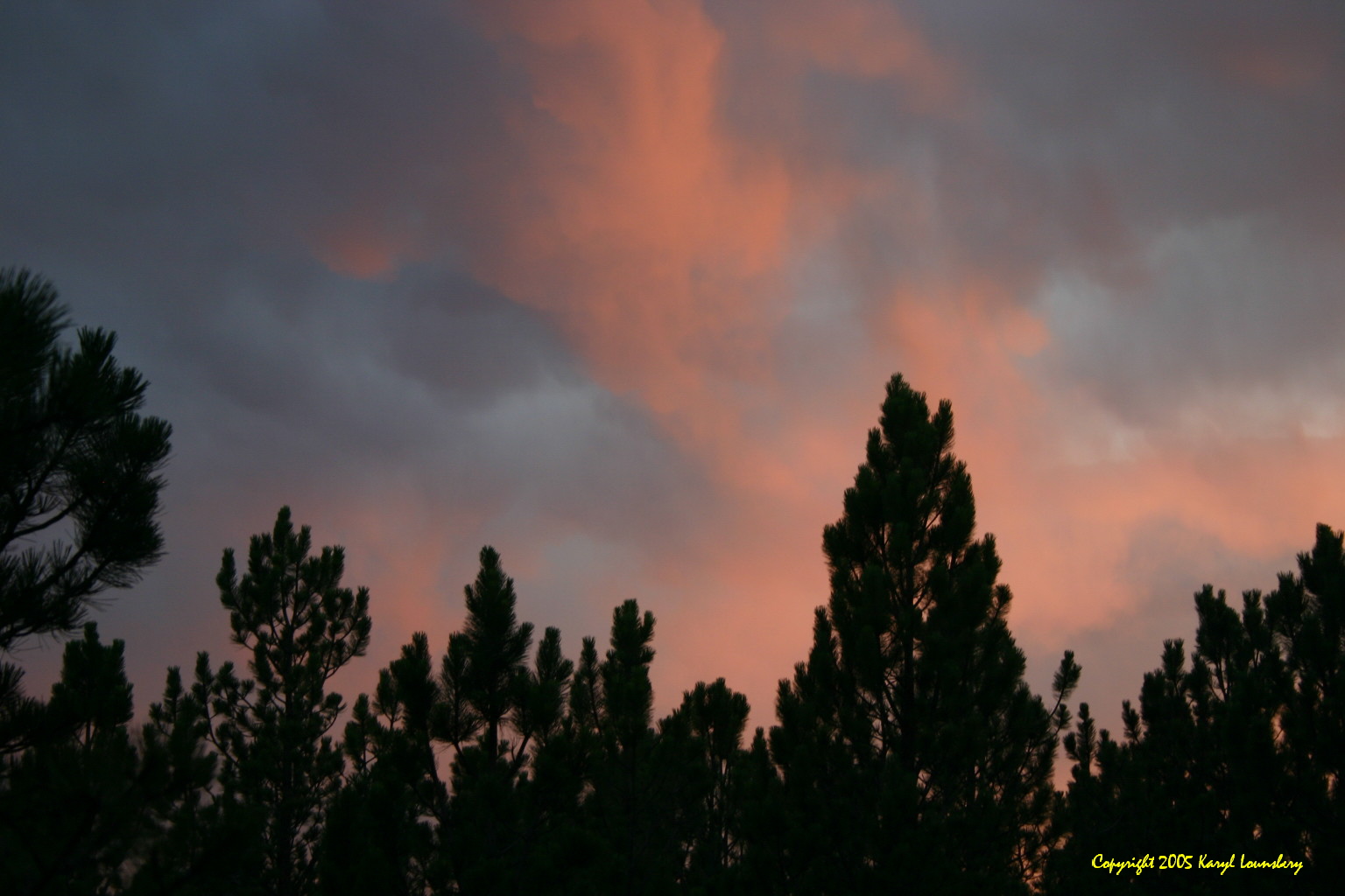Taken near Custer, SD, this photo shows the rich colors of the evening sky.