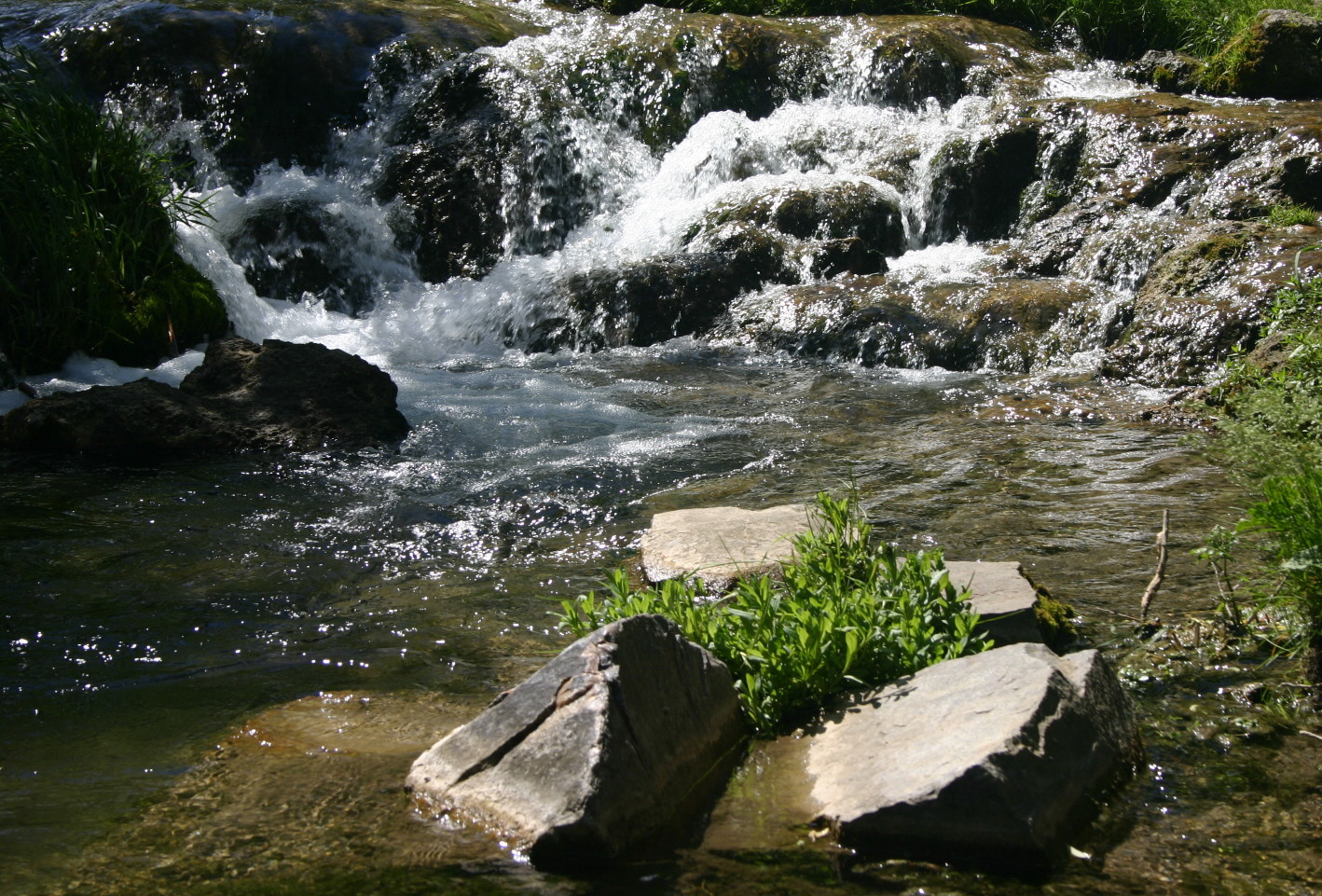 One of the many bubbling streams found in the Black Hills.&nbsp; This one is near Spearfish, SD.