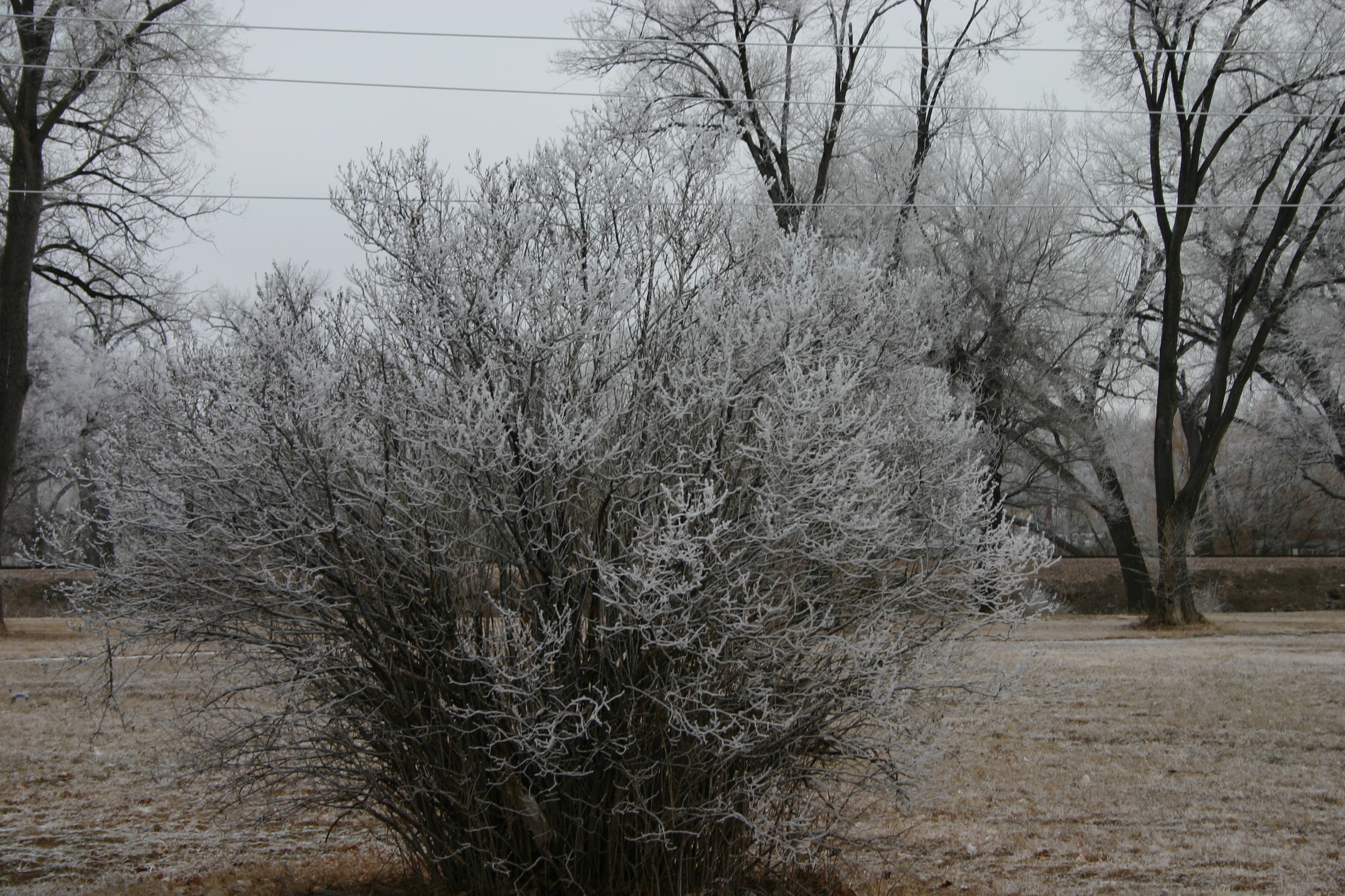 This photo was taken near the skate park in Rapid City after an ice storm.
