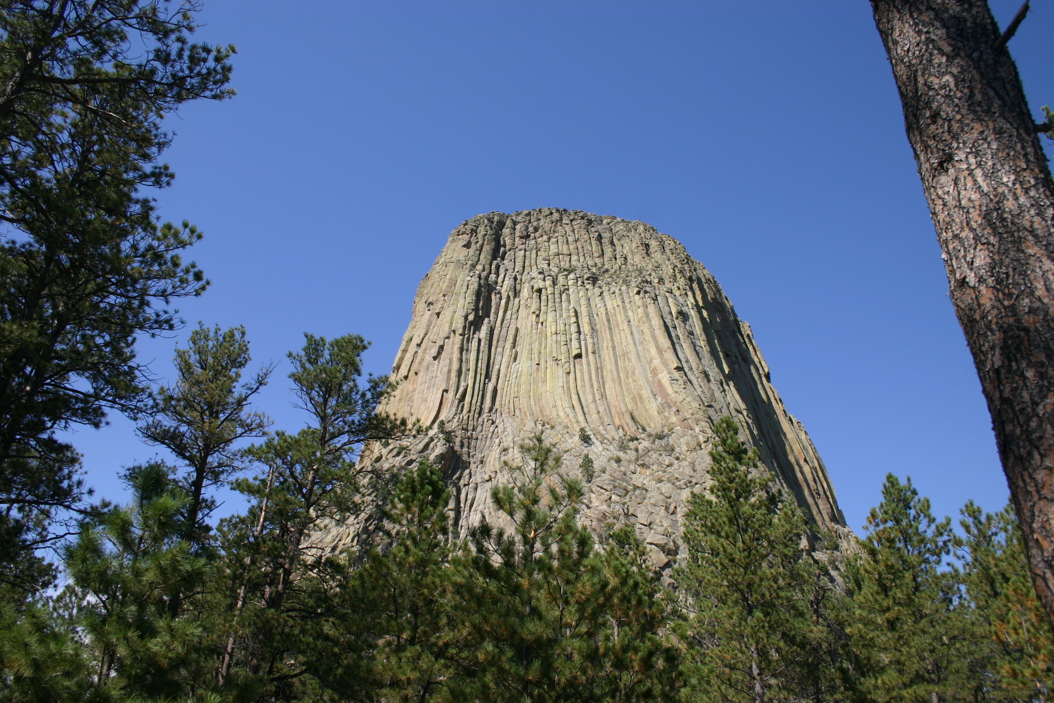 This photo of Devil's Tower was taken from the base of the tower while on the path around it.