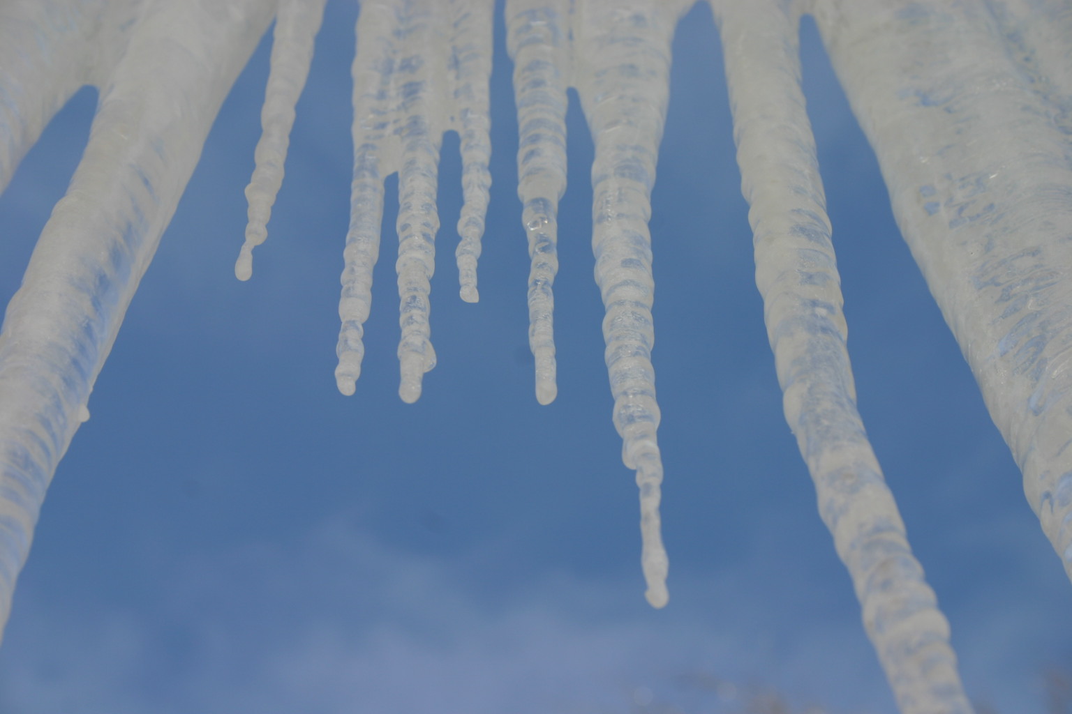 The icicles in this photo hung right outside my back door.