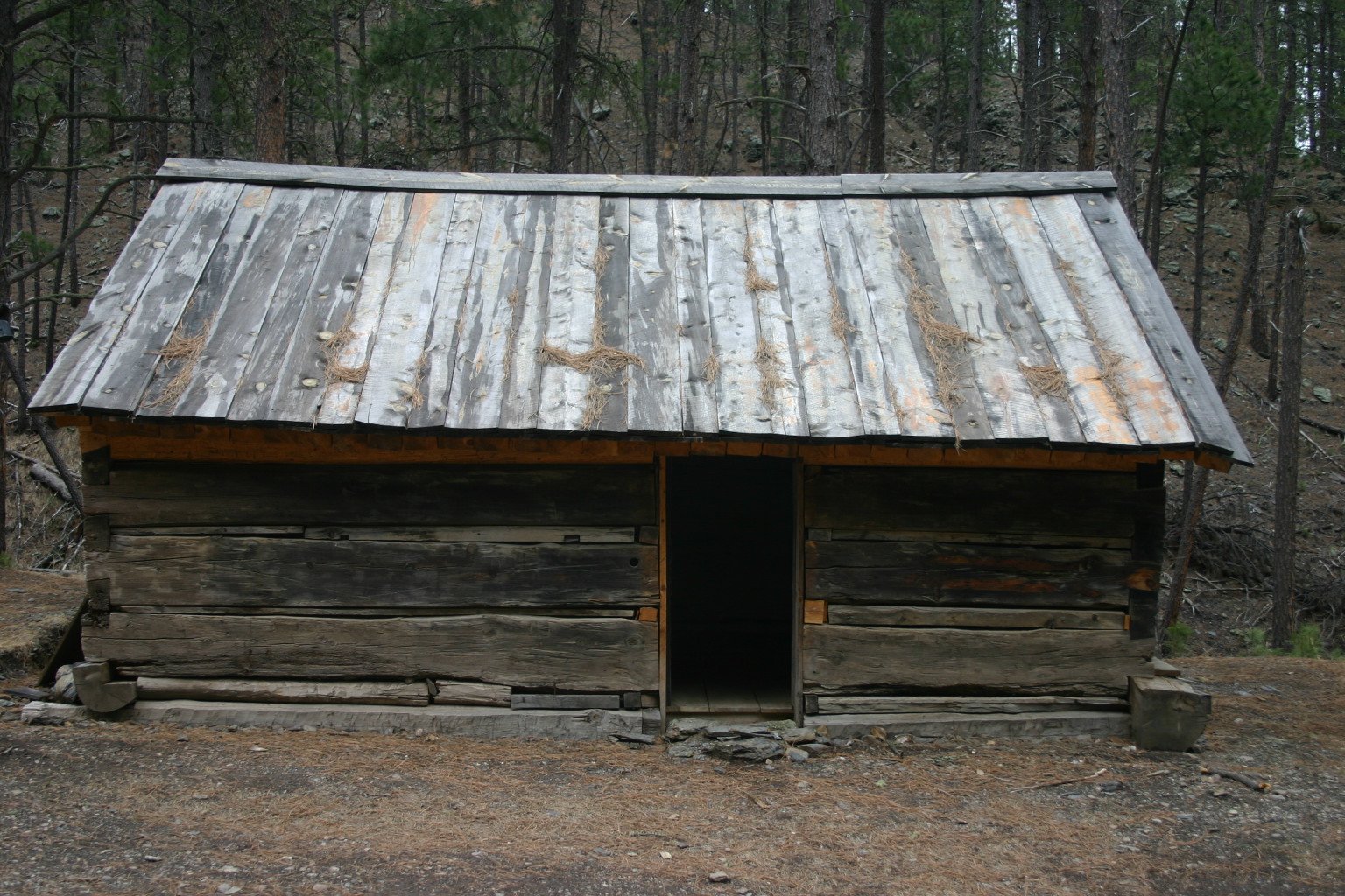 I helped restore this historic Black Hills cabin in a BHNF Passport in Time project.&nbsp; This cabin can be found in the Mystic District of the BHNF.