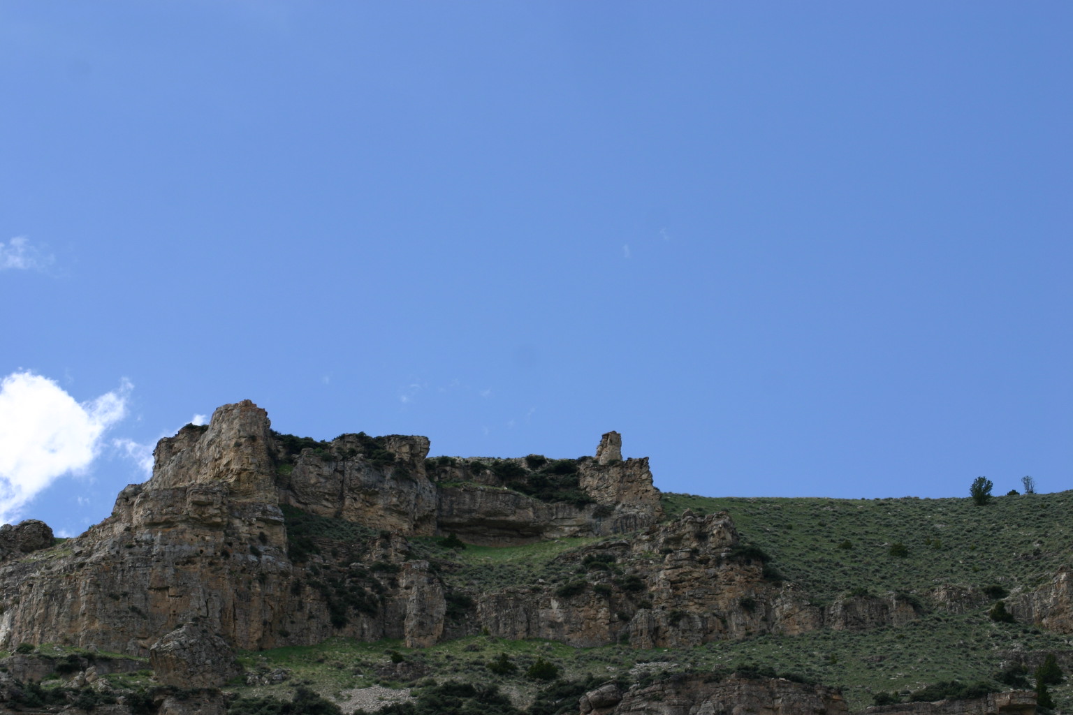 Taken in the Big Horn Mountains of Wyoming.