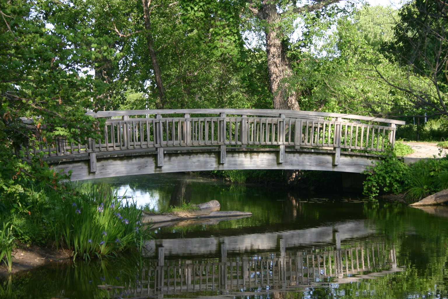 Another photo taken at Olbrich Botannical Gardens in Madison, WI.