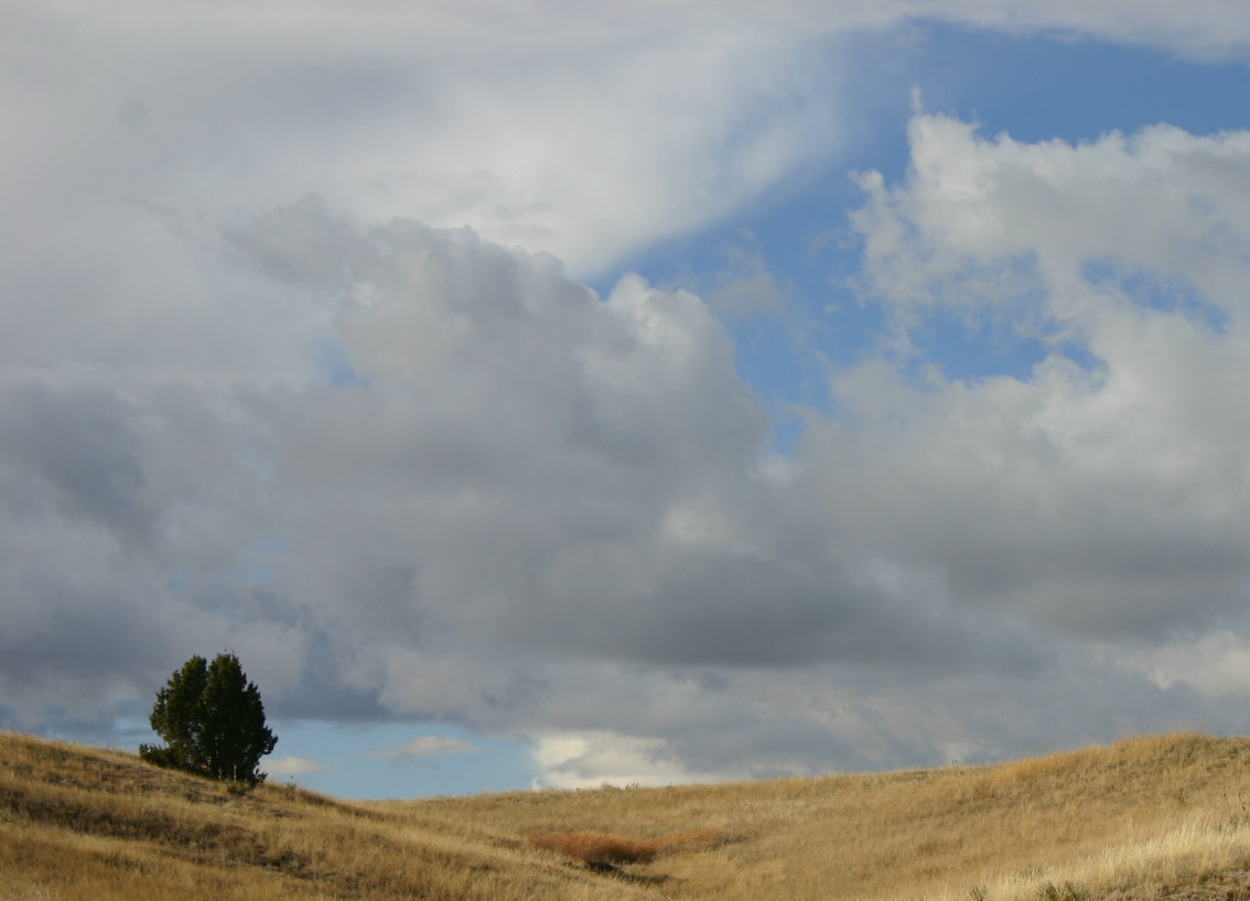 Near Hermosa, SD, the prairie stretches for miles with hardly any green vegetation in the fall.