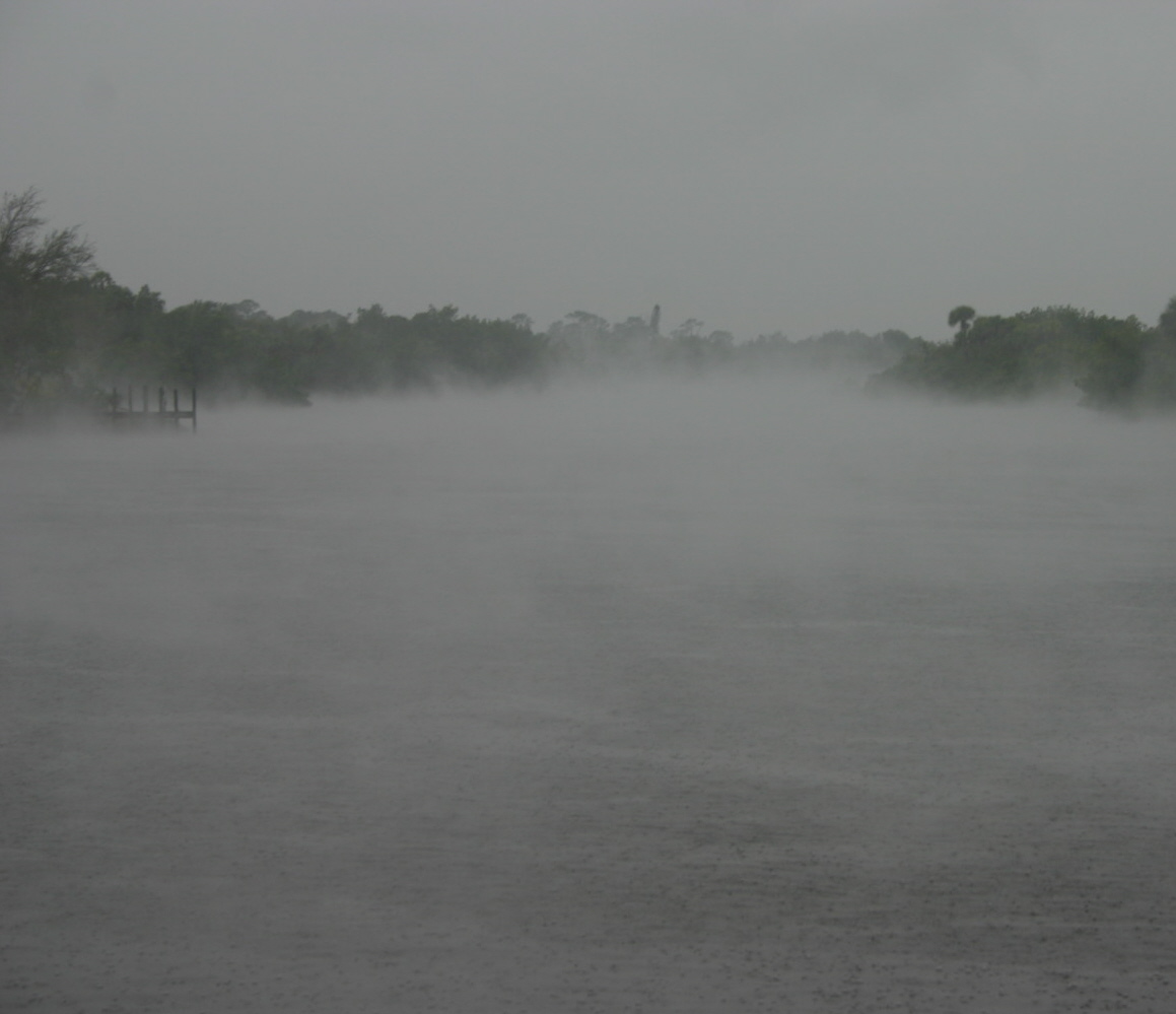 This was taken in Florida when I went to see the manatees.&nbsp; Unfortunately, it was so misty, I didn't really get to see the manatees. 