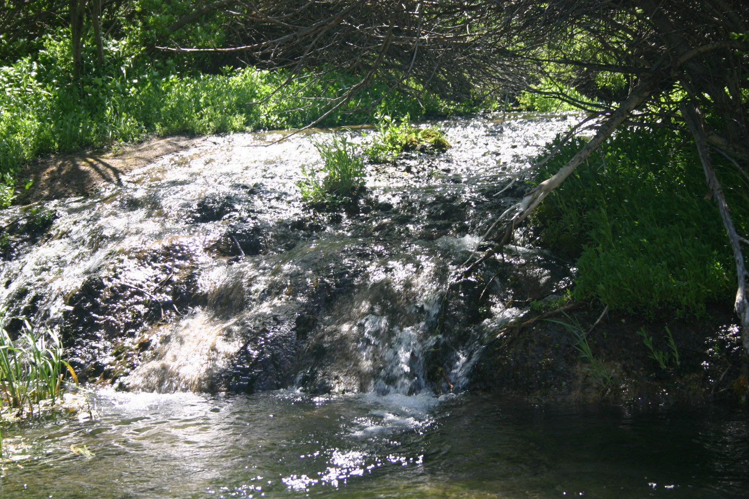 This photo was taken near Roughlock Falls, SD.