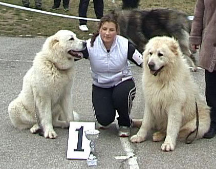 Nurdan i Panda iz Ruskog Izvora