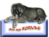 Forum