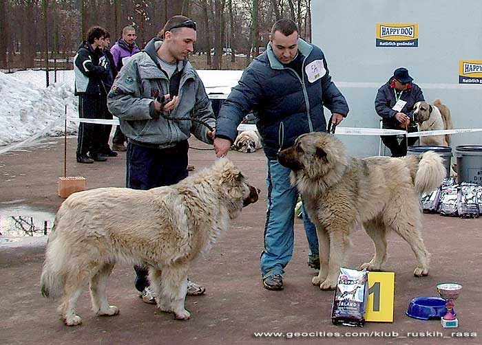BARON & ODESSA IZ RUSKOG IZVORA