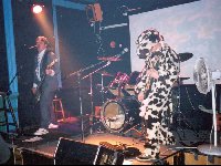 Moo !