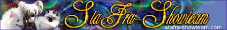 The StaFra Showteam website _ Home to Pedigree American Eskimos, Chinese Createds and Ragdolls