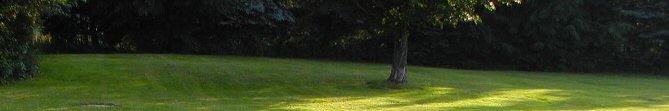 the back yard panorama