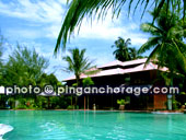 arwana perhentian