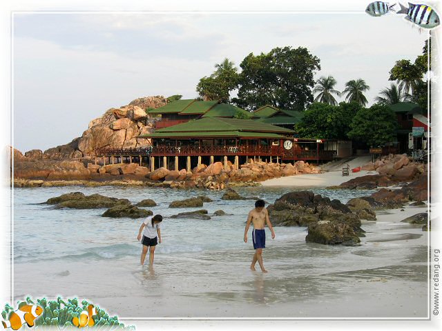 redang reef resort