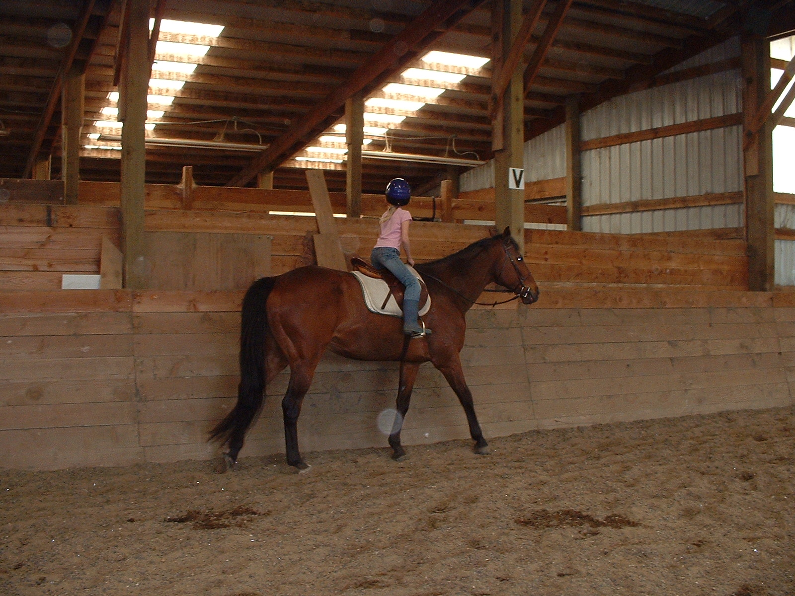 SUSANAH on FOXY