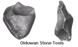 Olduwan Tools