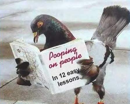 Pooping on people??
