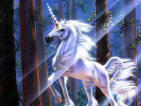 Absolute Fantasy Art