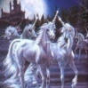 ...Unicorns...