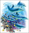 Wild About Dolphins