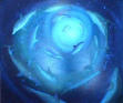 Dolphin Intelligence