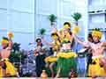 Hawaiian Hot Luau