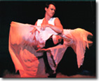 Lance Burton's Levitation