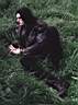 nickgrass.jpg
