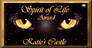 Katies Castle Spirit of Life Award