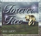 PLEASE READ THE MOVING STORY OF WOLF#10